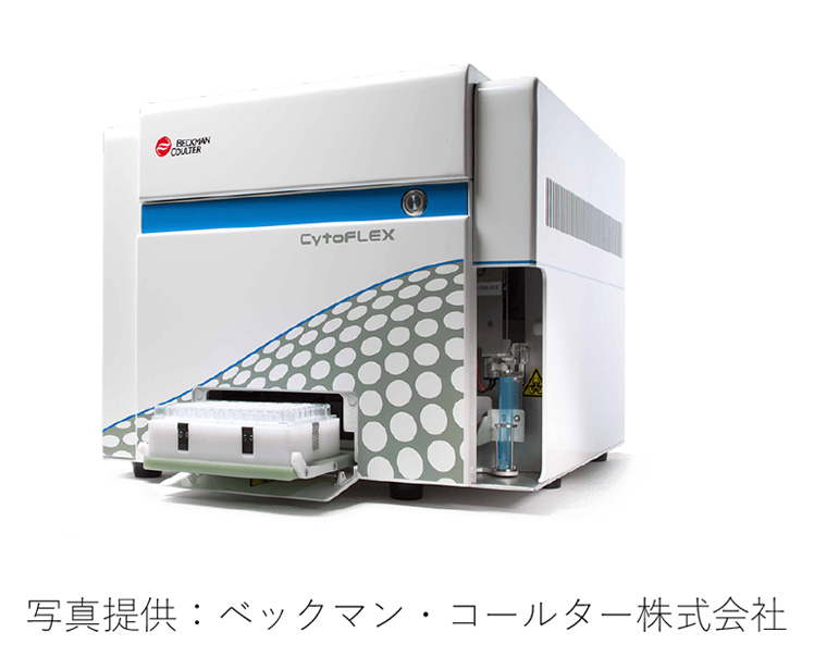 画像:DFI検査(DNA断片化指数検査)
